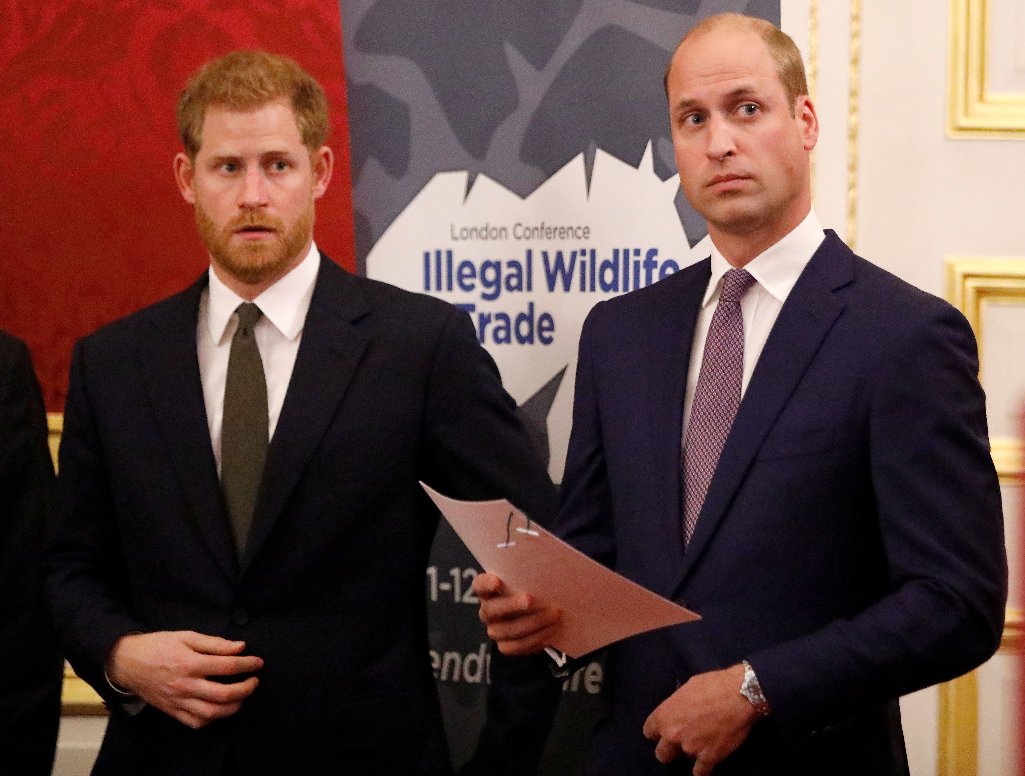 哈里王子，威廉王子和剑桥公爵合影留念：苏塞克斯公爵（左）和剑桥公爵在伦敦Mansion House举行的野生动物金融特别工作组联合活动期间，在关于非法野生动植物贸易的国际会议之前。